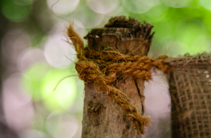 Coconut rope